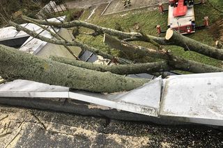 Drzewo spadło na dom Andrzeja Dudy 