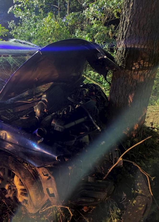 Śmiertelny wypadek pod Zgierzem. Audi z trzema osoba rozbiło się o drzewo [ZDJĘCIA].