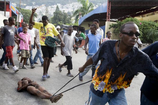Haiti: Szabrownik ukarany