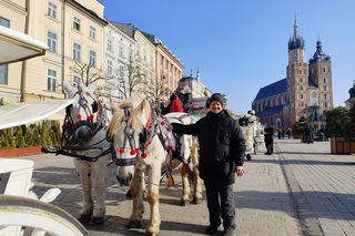 obrońcy zwierząt zniechęcają turystów do przejażdżek dorożkami 