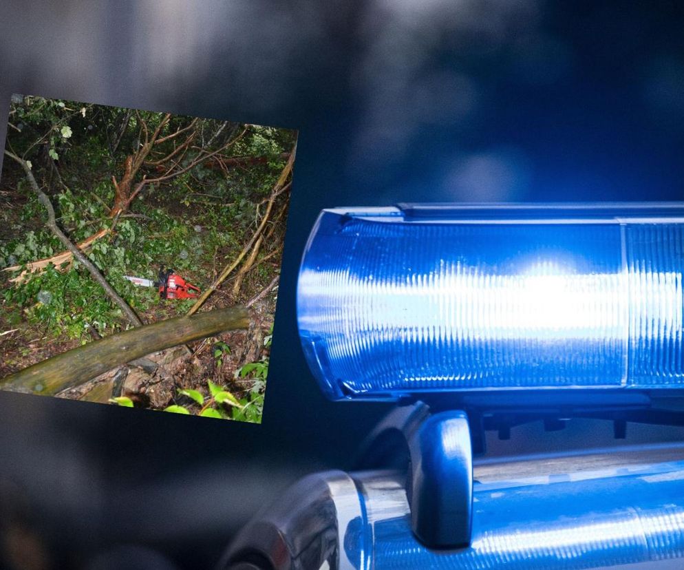 Wypadek podczas wycinki drzewa w pow. parczewskim