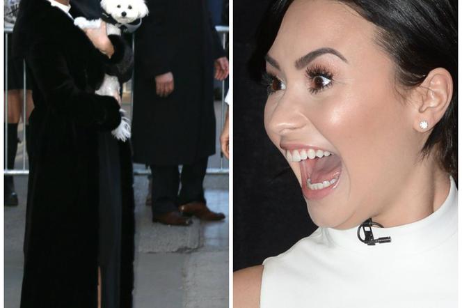 Demi Lovato: Chuda i szczęśliwa w Good Morning America! W studio towarzyszył jej pies! ZDJĘCIA