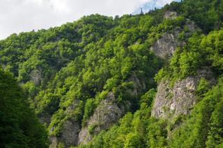 Malownicze pasmo górskie w Małopolsce. To idealna alternatywa dla Tatr