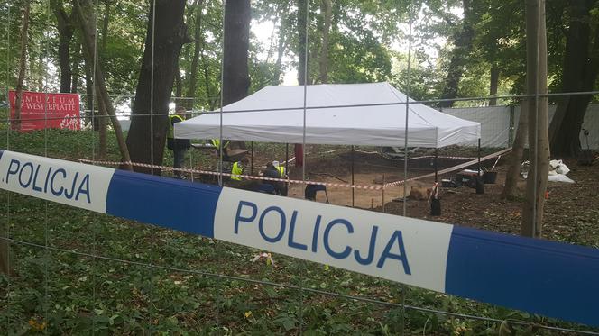 Na Westerplatte znaleziono ponad 200 szczątków kostnych