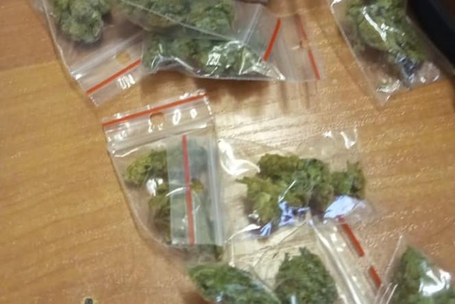 400 gram marihuany znalezionych przez policje - Pomogła w tym Odyseja