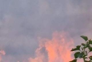 Pożar na polu uprawnym w Przybranowie. Policjanci uratowali kobietę