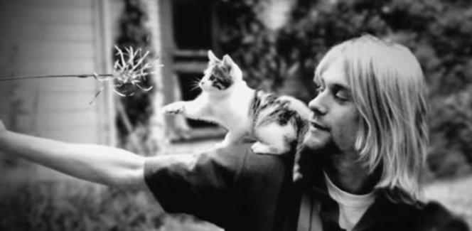 kurt cobain