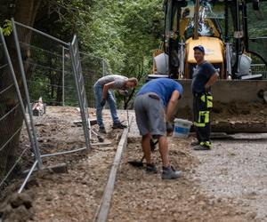 Powstaje nowa droga rowerowa! Sprawdź, jak przebiegają prace na Księżym Młynie [ZDJĘCIA]