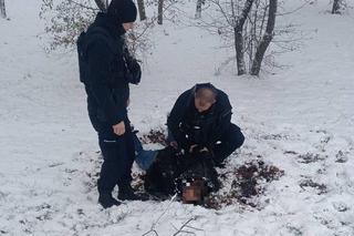 Komendant wyznaczył 100 tys. nagrody. Wiadomo, kto dostanie pieniądze