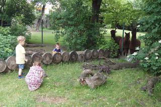 Stare Zoo w Poznaniu