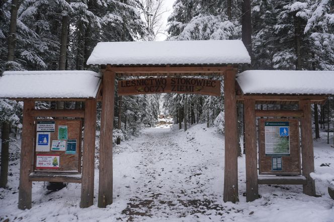 Rezerwat Oczy Ziemi. Tak wygląda zimą