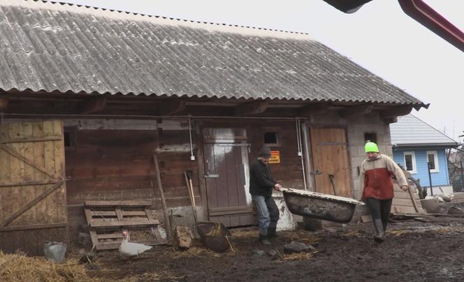 Rolnicy. Podlasie. Gienek i Andrzej karmią krowy. Sławek: Widać jaki tu porządek