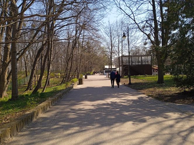 Mieszkańcy korzystają ze słonecznej pogody. Na plaży w Jelitkowie widać już pierwszych spacerowiczów!