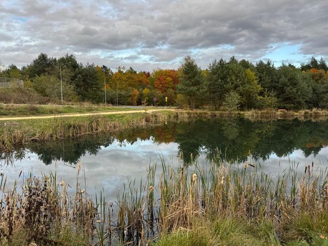Serenity Park w Mysłowicach to nowe miejsce wypoczynku na Śląsku
