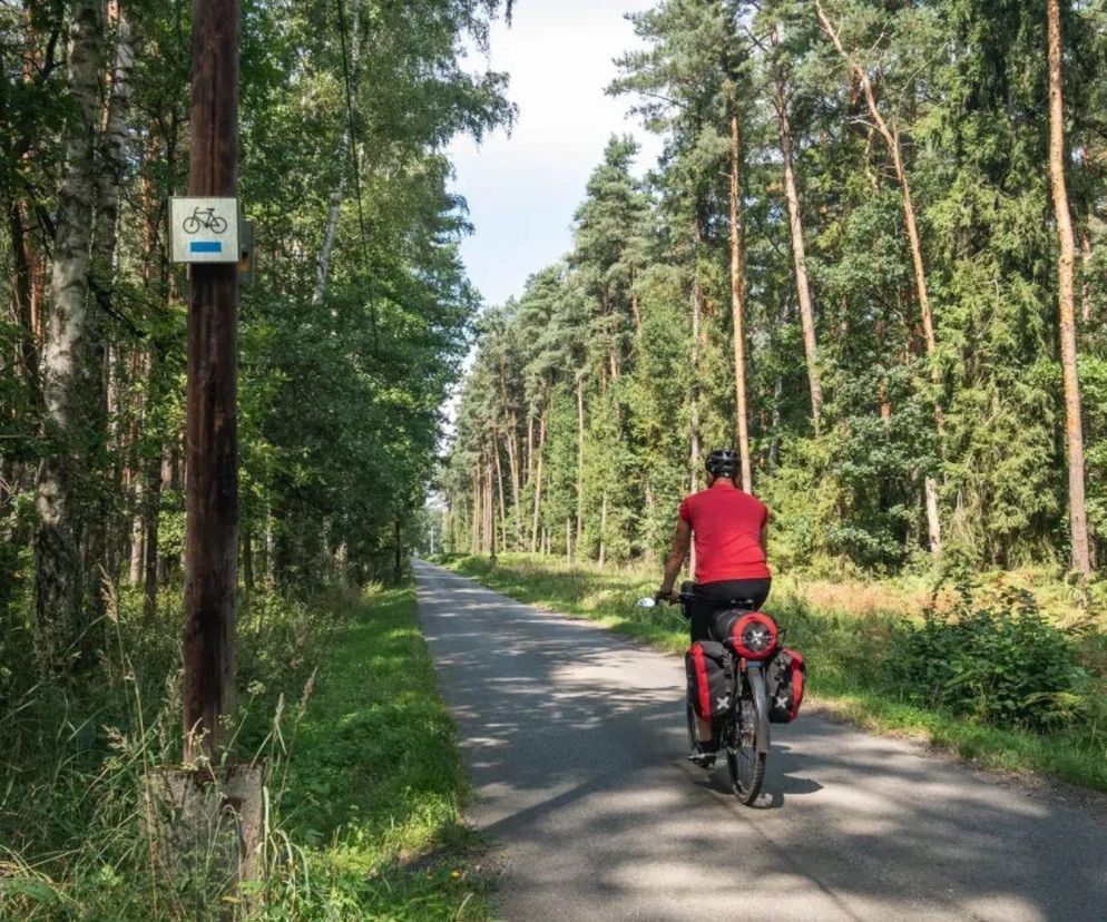 Najładniejsze ścieżki rowerowe w woj. śląskim jesienią