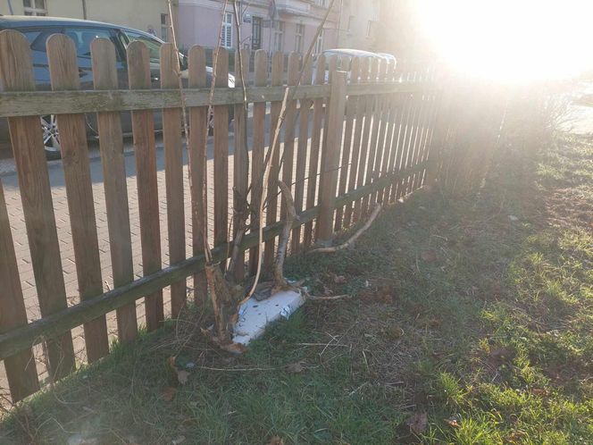 Muzeum Patyka w Toruniu