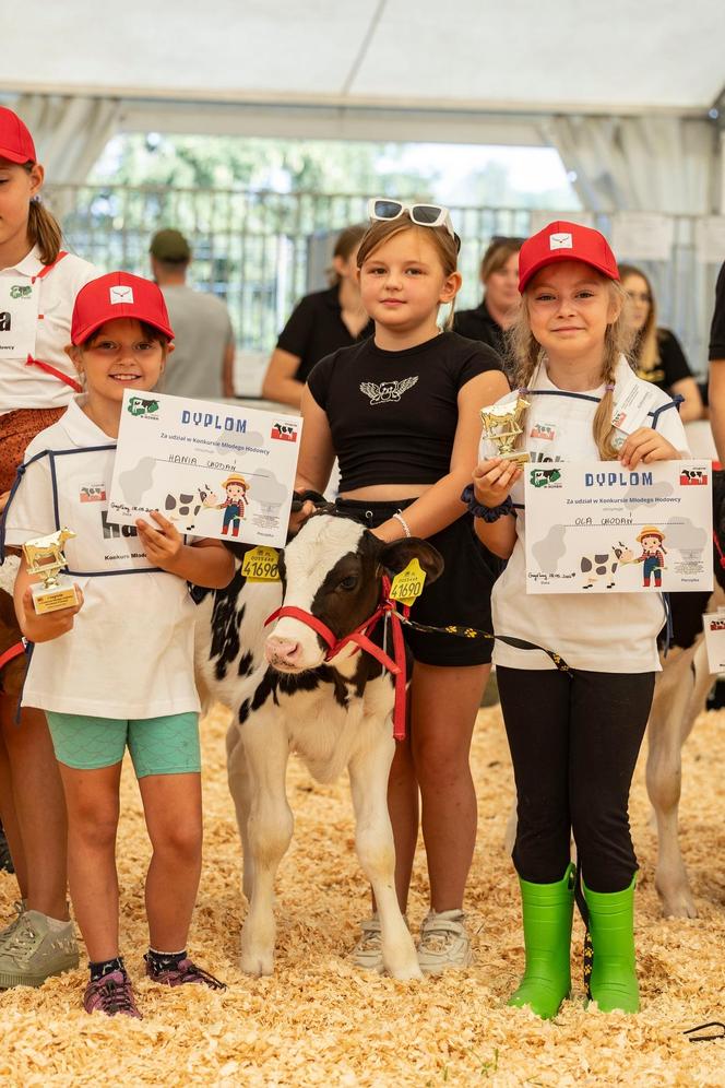 Jesienne Targi Rolnicze w Gryźlinach 2024. Wydarzenie przyciągnęło tłumy. Zobacz zdjęcia