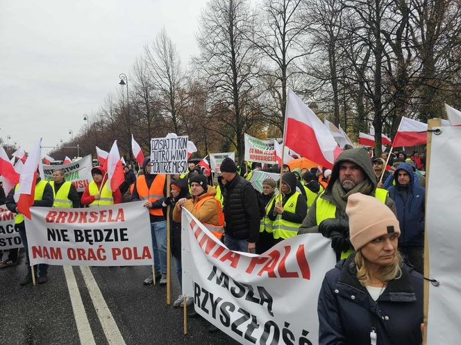 Protest plantatorów tytoniu w Warszawie (3.11.2025)