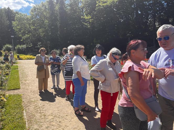 Kolejka tort urodziny Szczecina 