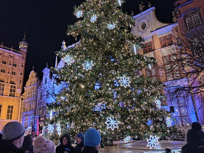 Gdańska choinka rozbłysła. Zobaczcie nasze zdjęcia!