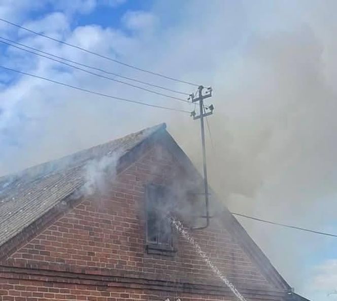 Dzielnicowa z Ostrowa Lubelskiego uratowała sześć zwierząt z płonącego domu