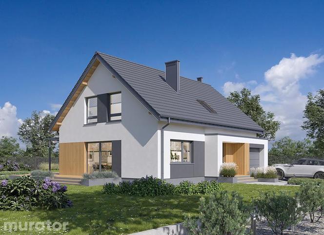 Projekt domu A110G1 Dobra rada G1 - wizualizacje, plany, rysunki