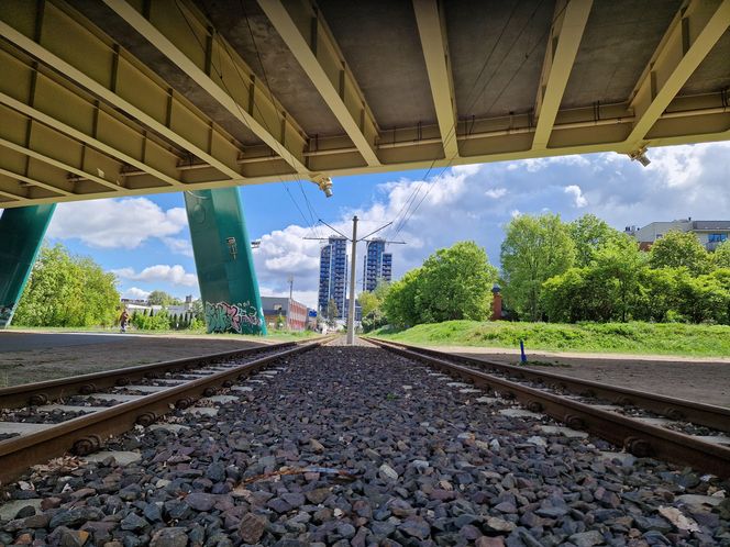 Torowisko tramwajowe na Babiej Wsi w Bydgoszczy zarośnięte chwastami. Tramwaje zniknęły stąd lata temu