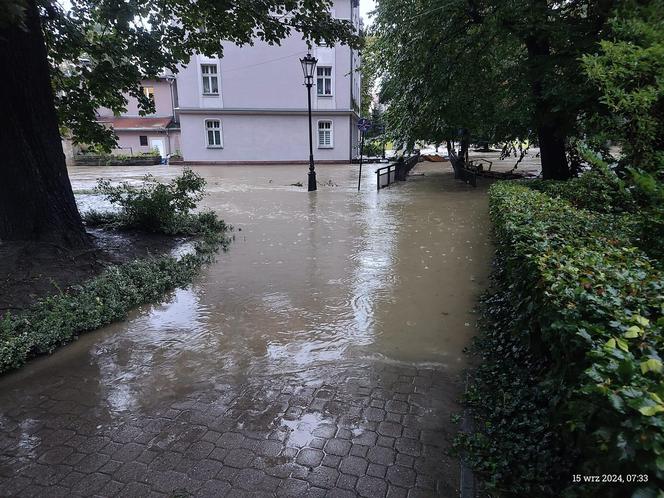 Krytyczna sytuacja w Kłodzku. "Okropnie leje, ulice i domy zalane, potrzebujemy pomocy"