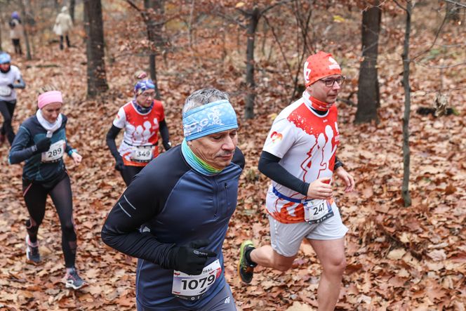 Katowicki City Trail jak zwykle ze znakomitymi biegaczami i biegaczkami. Zobacz zdjęcia ze sportowej imprezy