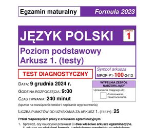 Matura próbna 2025: polski podstawowy [9.12.24]