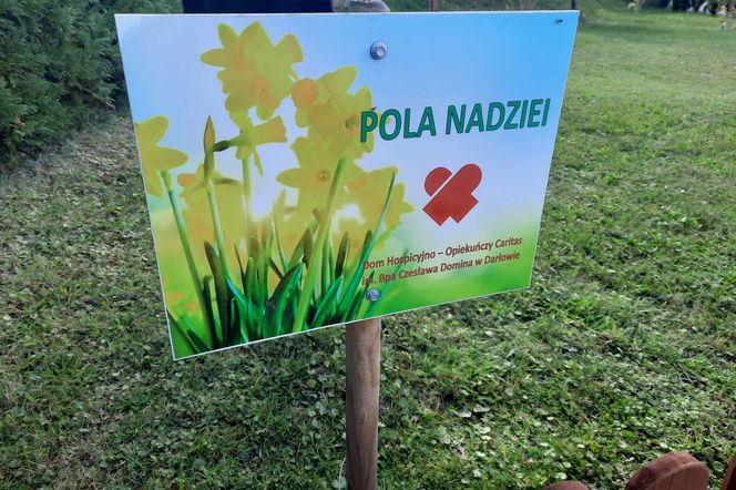 Pola nadziei w hospicjum w Darłowie