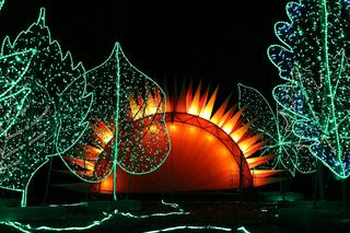  Lumina Park w Lublinie kończy sezon 2023/2024. Zobacz zdjęcia ze spaceru po parku iluminacji