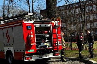 Na miejsce wezwano służby 