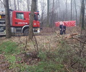 Mirosław zginął w urodziny. Pracownicy byli pijani