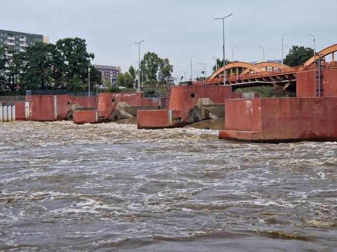 Mieszkańcy Wrocławia walczą z powodzią