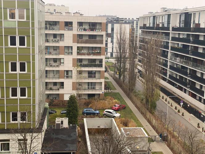 Wysyp aut na trawniku na Żoliborzu