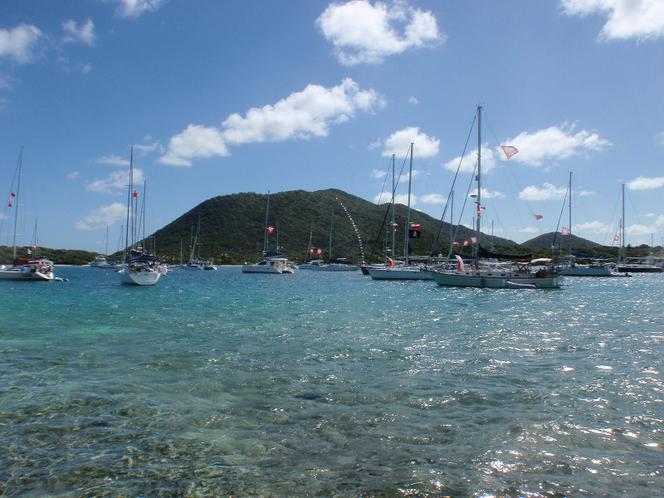 Zlotowe Trellis Bay
