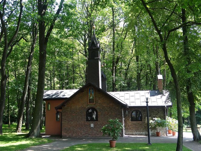 W tym małopolskim mieście księża leczyli wodą. Znajduje się blisko Krakowa