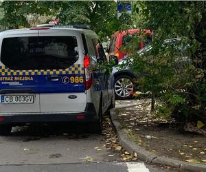 Zrywali tablice rejestracyjne z zaparkowanych aut w Krakowie. Zostali przyłapani na gorącym uczynku