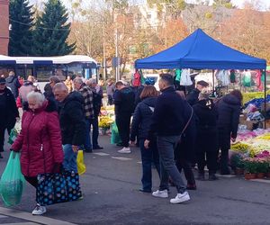 1 listopada na Cmentarzu Centralnym w Szczecinie