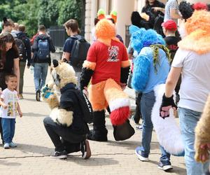 Marsz futrzaków w Lublinie. Tak wyglądał I Lubelski Fursuitwalk