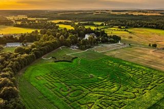 Labirynt w Kurozwękach