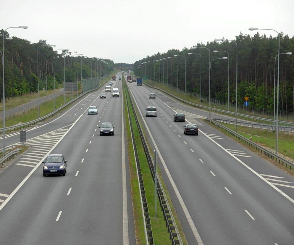 Te odcinki dróg w kujawsko-pomorskim są najniebezpieczniejsze. Zginęło tu wielu kierowców [GALERIA]