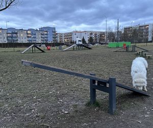 Psi park na ul. Opolczyka w Łodzi