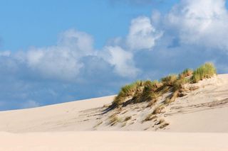 Plaże nudystów w województwie pomorskim [LISTA]