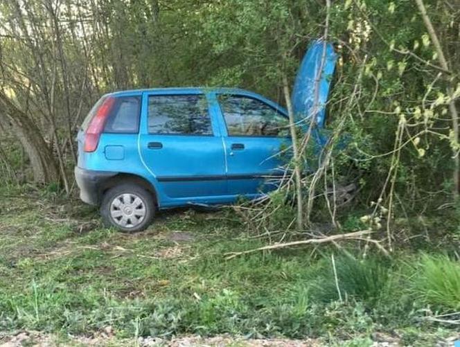 Zderzenie z sarną mogło mieć tragiczne skutki