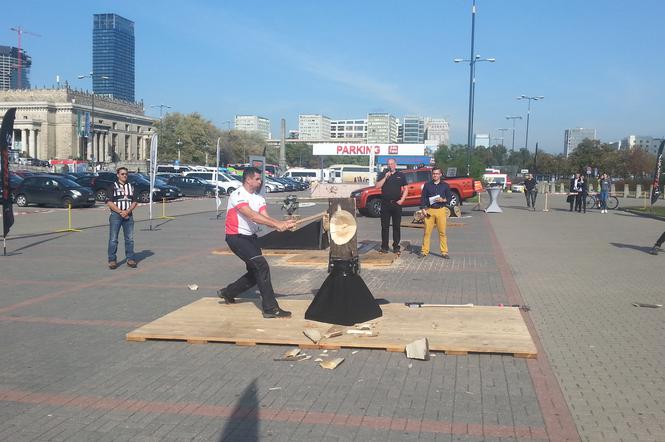 Rąbanie drewna w centrum Warszawy