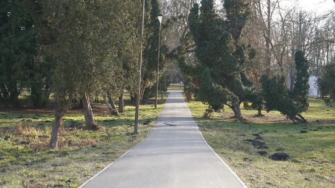 Mieszkańcy Lublina poczuli wiosnę. Na termometrach było ponad 20 stopni! Wiosenna odsłona Parku Ludowego w obiektywie