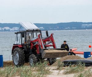 Balex Delta 2025