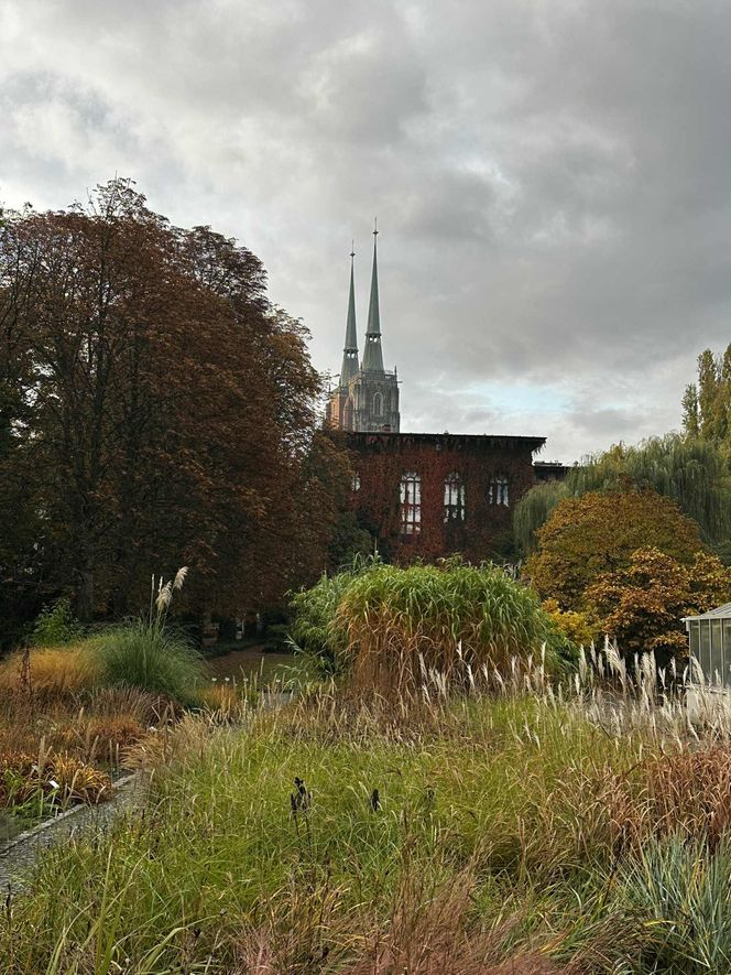 Ogród Botaniczny we Wrocławiu